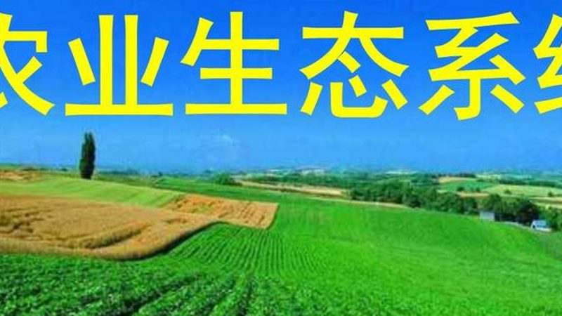 冷库远程监控系统：守护农产品品质的“智能守护者