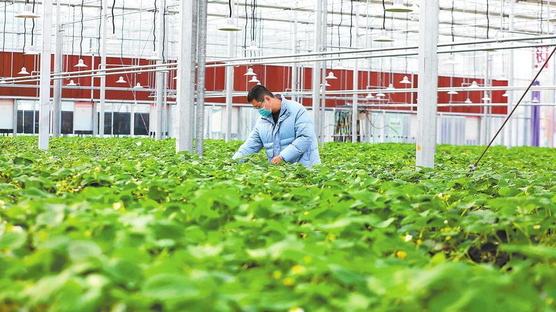 生鲜配送冷链加盟：揭秘加盟费用背后的考量因素