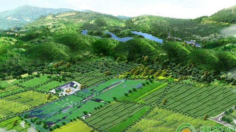 采摘园选址：哪些关键因素不容忽视**