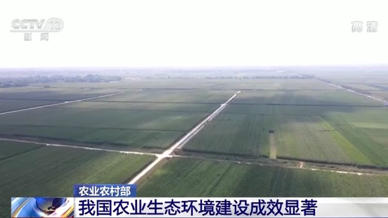 成都农资批发：优缺点剖析与选购策略
