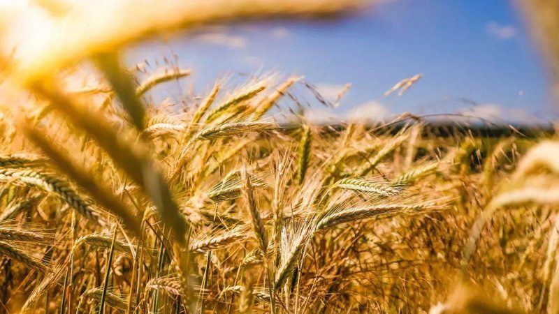 农产品冷链配送注意事项