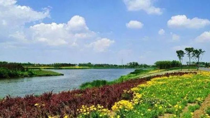 生态农业项目规划设计：打造可持续发展的绿色蓝图**