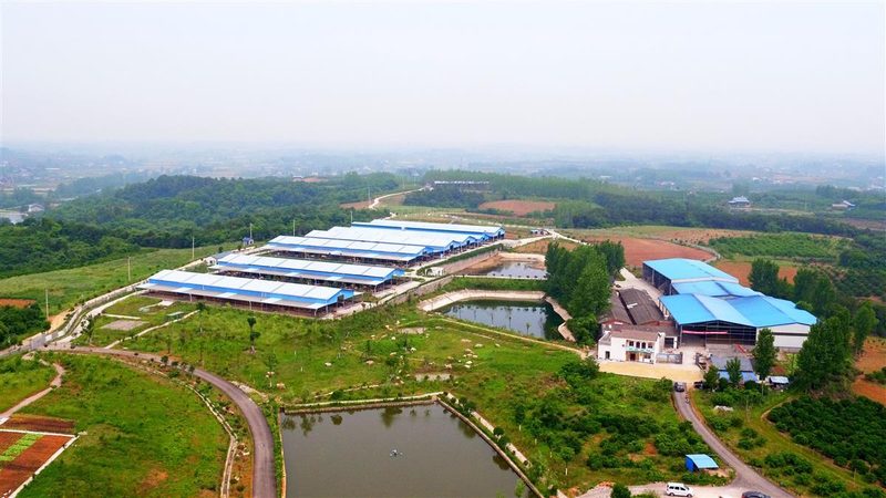 农产品配送系统：构建高效供应链的秘密武器