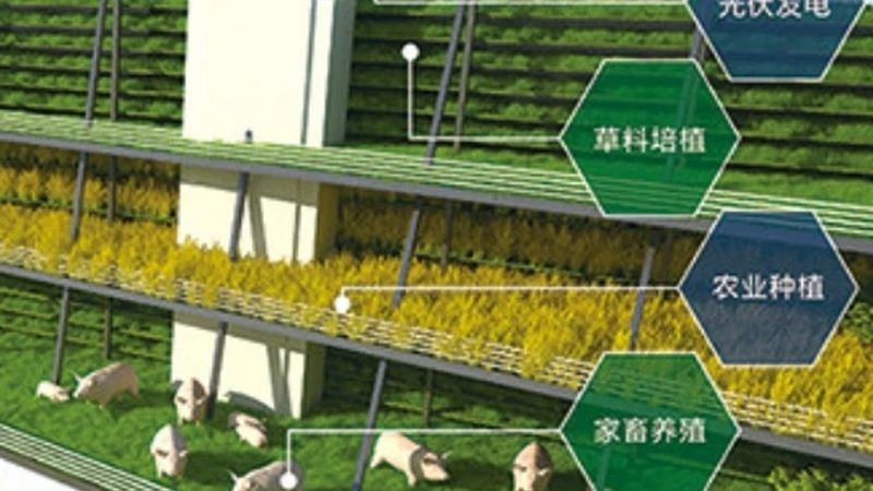 农民合作社推荐排名