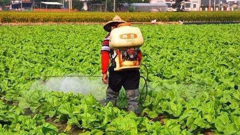 行业现状：农业种植技术网课平台百花齐放