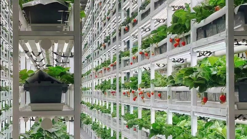 目前市场上常见的水肥一体化设备材质主要有以下几种：
