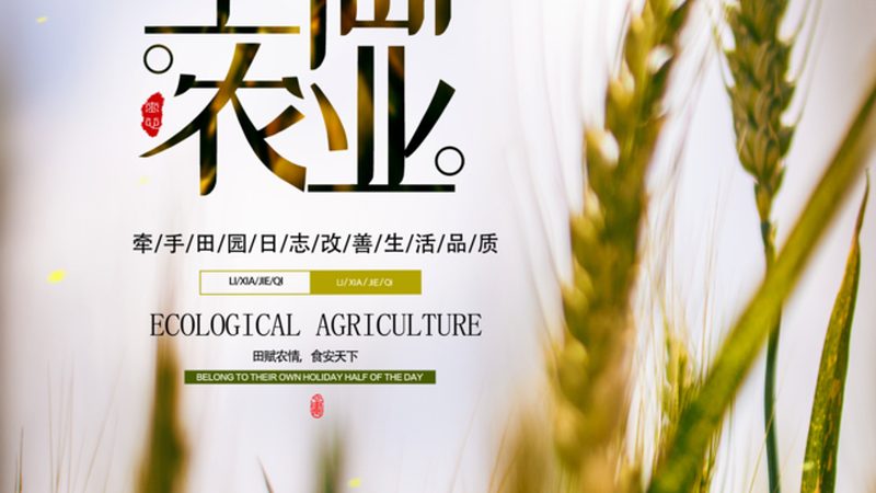 有机粮食种植国家标准：守护绿色餐桌的基石
